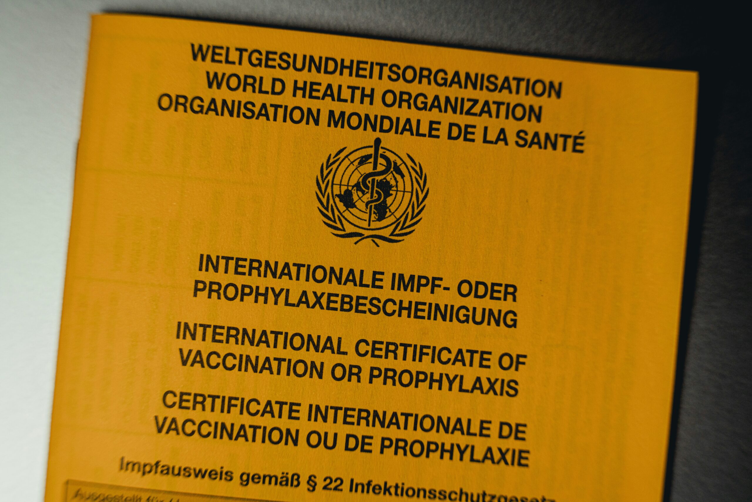 International vaccination certificate and syringe